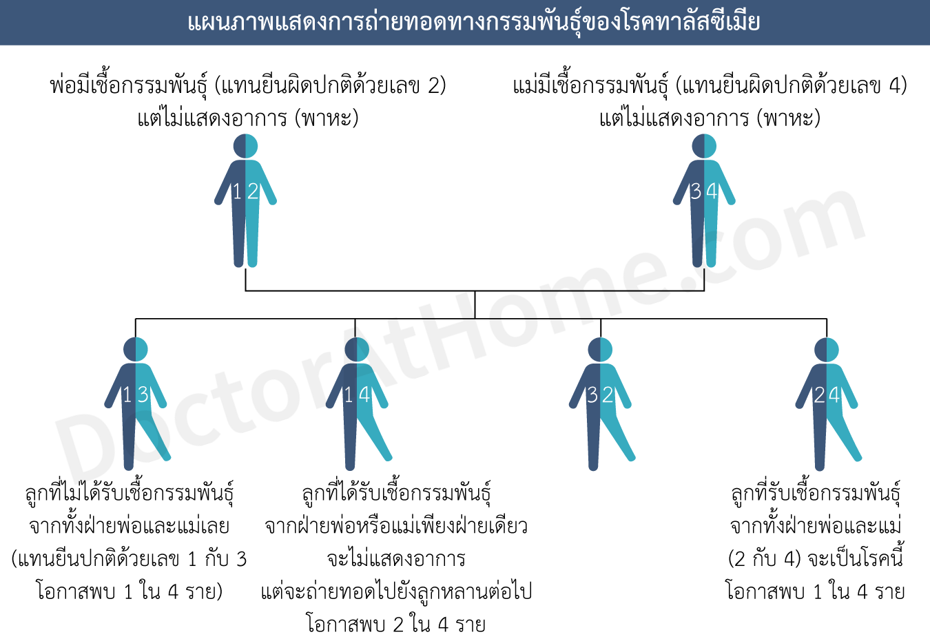 การถ่ายทอดกรรมพันธุ์ของโรคธาลัสซีเมีย